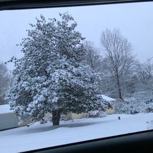 Meet your Posher, Henry